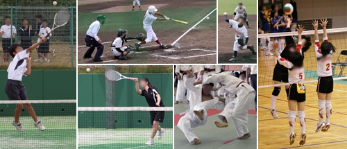 野球・柔道・テニス・バレーボール